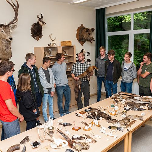 jagdschule emsland blocklehrgang ausbildung schueler im praeparateraum
